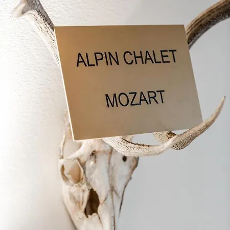 Alpin Wagrain Апартаменты *