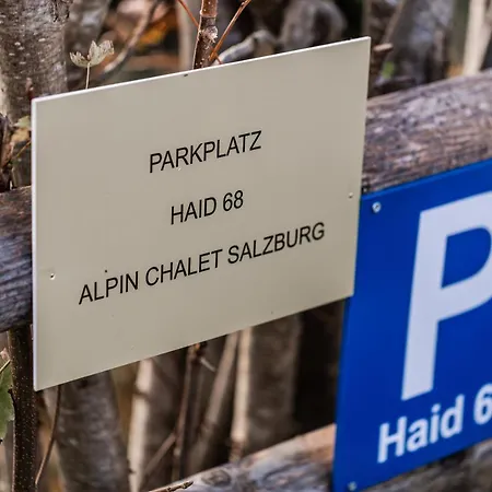 Apartment Alpin Wagrain