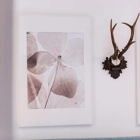 Alpin Wagrain Daire *