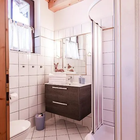 Alpin Wagrain Apartament