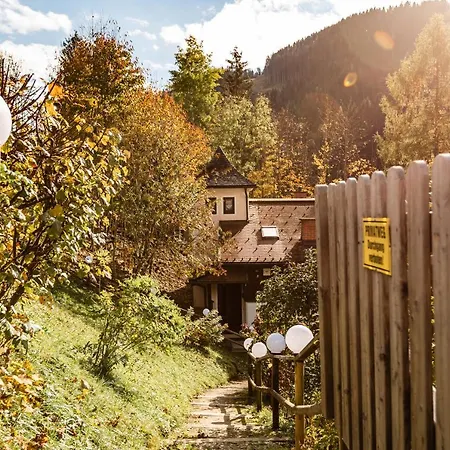 Alpin Wagrain Апартаменты *
