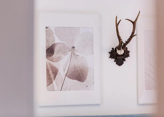 Alpin Wagrain Appartement *