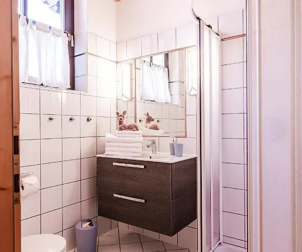 Alpin Wagrain 아파트